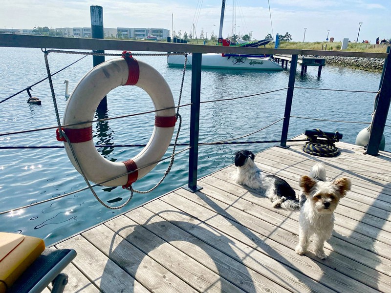 Hausboot auf Fehmarn nahe Südstrand - "Lilla Lina"