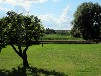 Ferienwohnung am Pälitzsee mit Hund - FEWO-3