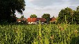 Ferienwohnung am Pälitzsee mit Hund - FEWO-3