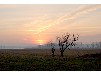 Uckermark Ferienhaus am See mit Boot und Garten