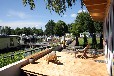 Tiny House Berlin Urlaub an der Havel - "No. 1"