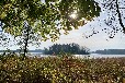 Ferienwohnung Krakow am See mit Steg und Boot