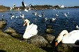 Ferienwohnung Krakow am See mit Steg und Boot
