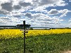 Bootshaus Malchiner See bei Bristow mit Motorboot