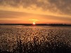 Bootshaus am Malchiner See mit Motorboot