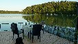 Ferienwohnung im Bootshaus am Schwarzer See - mit Seeterrasse & Ruderboot