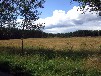 Finnhütte am Globsowsee im Naturpark Stechlin