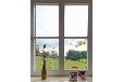 Ferienhaus Useriner See mit Hund