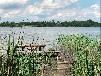 Ferienhaus direkt am Inselsee in Alleinlage - DORNBUSCH
