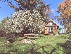 Ferienhaus direkt am Inselsee in Alleinlage - DORNBUSCH