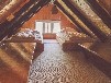 Ferienhaus direkt am Inselsee in Alleinlage - DORNBUSCH