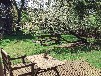 Ferienhaus direkt am Inselsee in Alleinlage - DORNBUSCH