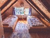 Ferienhaus direkt am Inselsee in Alleinlage - DORNBUSCH