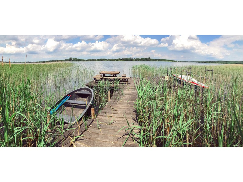 Ferienhaus am Inselsee mit Steg und Boot in Alleinlage - "Dornbusch"