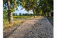 Kleines Ferienhaus am Ellbogensee