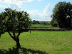 Ferienwohnung am Pälitzsee mit Boot - FEWO-1