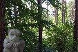 Kleines Ferienhaus am Zemminsee