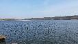 Bootshaus am Güstrower Inselsee mit Ruderboot