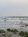Hausboot festliegend Ostsee bei Boltenhagen
