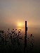 Bootshaus Urlaub am Rätzsee bei Mirow - Reetdach, inkl. Ruderboot, gr. Panoramafenster, Traumlage, nur E-Motore erl., Süd-Ostseite