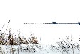 Ferienwohnung auf der Insel Rügen Wasserferienwelt - TYP D