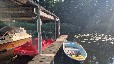 Ferienwohnung Spreewald am Wasser mit Boot