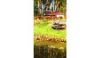 Ferienhaus mit Boot am Dobbertiner See