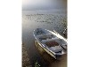 Bootshaus am Malchiner See mit Steg und Ruderboot - Motorboot (optional)