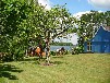 Ferienhaus am Plätlinsee mit Steg und Boot