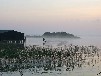 Großes Ferienhaus Müritz direkt am See mit Boot