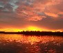 Bootshaus Urlaub am Rätzsee bei Mirow-Reet Dach, incl. Ruderboot, Traumlage, nur e-Motore erl., gr. Panoramafenster- Süd-Westseite