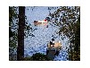 Ferienhaus Refugium am Klostersee mit Steg und Boot