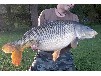 Ferienhaus am Inselsee mit eigenem Steg und Boot