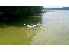 Ferienhaus am Großen Labussee mit Steg und Boot