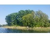 Ferienhaus am Inselsee mit Steg und Boot - SEEBLICK 3