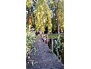 Kleines Ferienhaus direkt am Inselsee